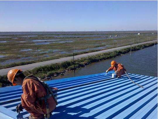 ��ʲô�x��ͩ�Ƿ�ˮ�a(b��)©����