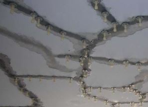 ������ð��c��ˮ��_�Ĺ���